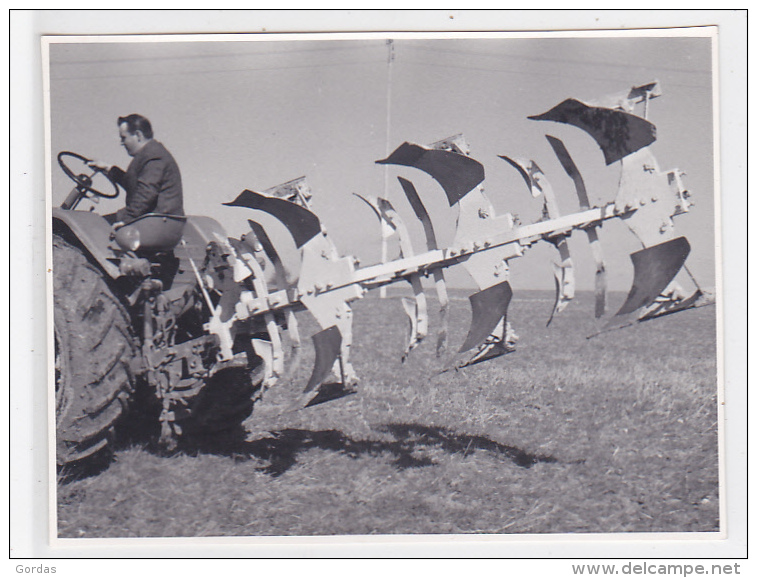 Agriculture - Tractors - Photo 115x85mm - Tractors