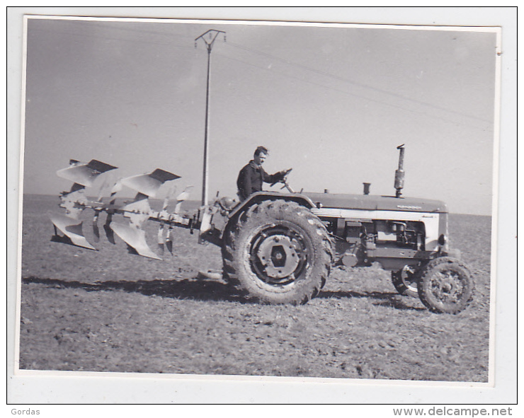 Agriculture - Tractors - Photo 115x85mm - Traktoren