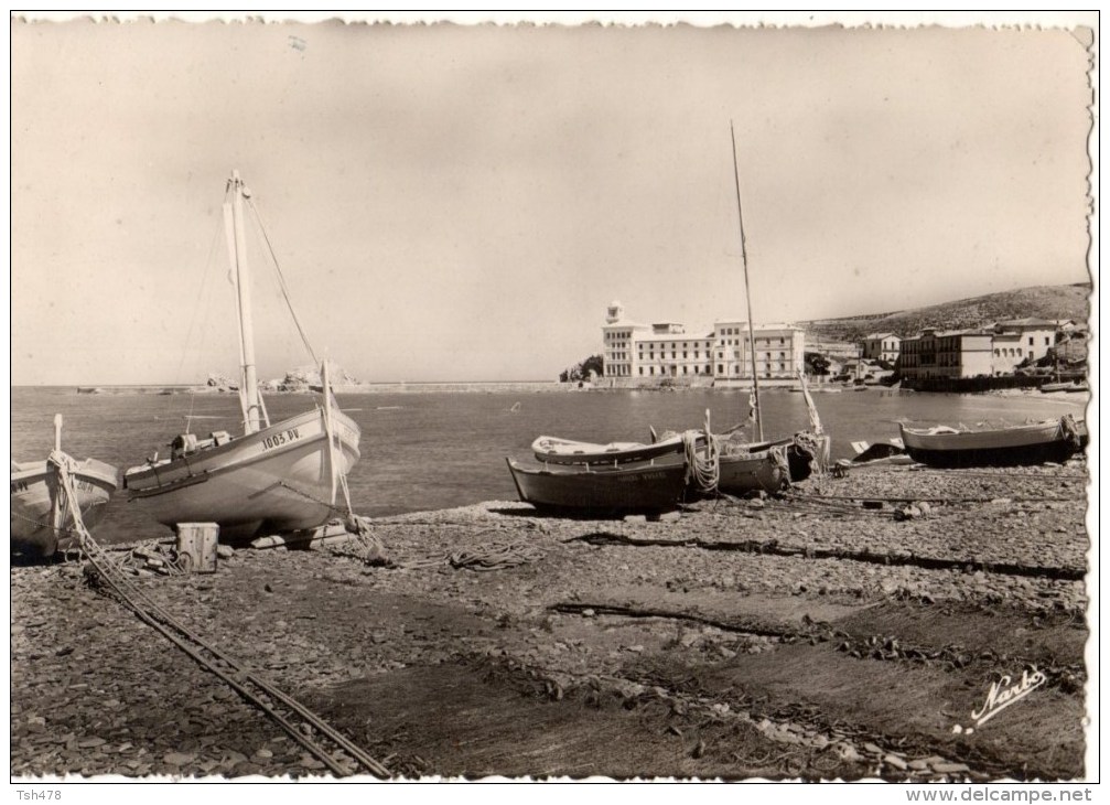 66-----BANUYLS SUR MER----la Plage Et Le Musée Arago---voir 2 Scans - Banyuls Sur Mer