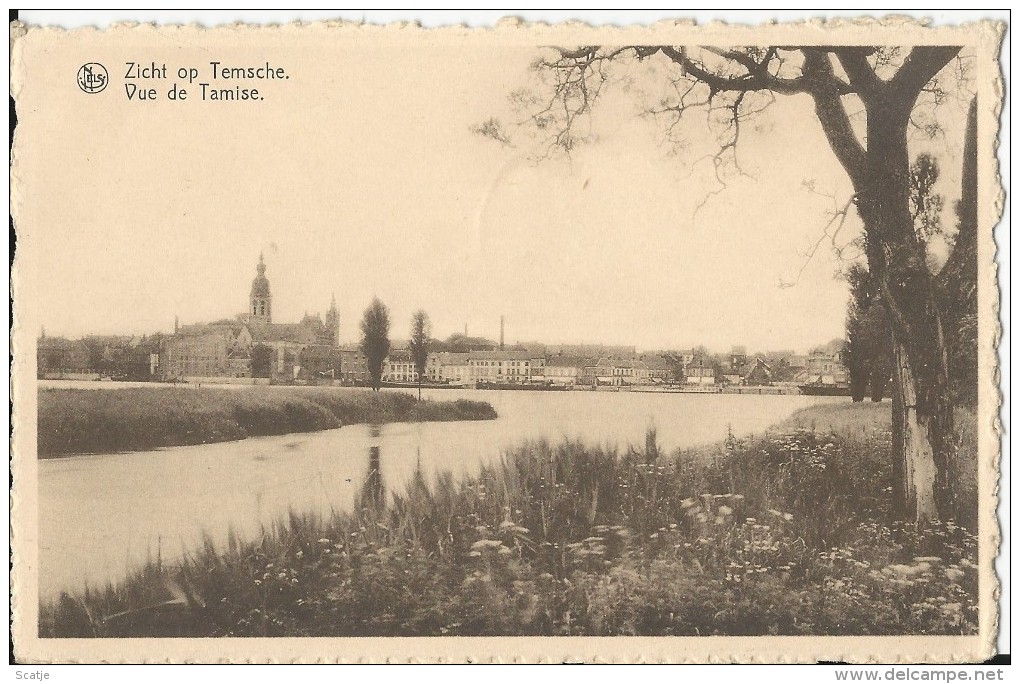 Temse    Zicht Op Temsche;  1954  Naar Woluwe - Temse