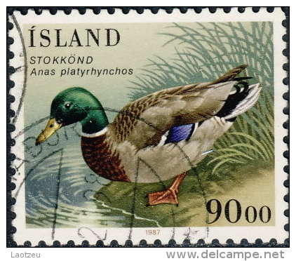 Islande 1987. ~ YT 624  - Oiseaux : Anas Platyrhynchos - Oblitérés