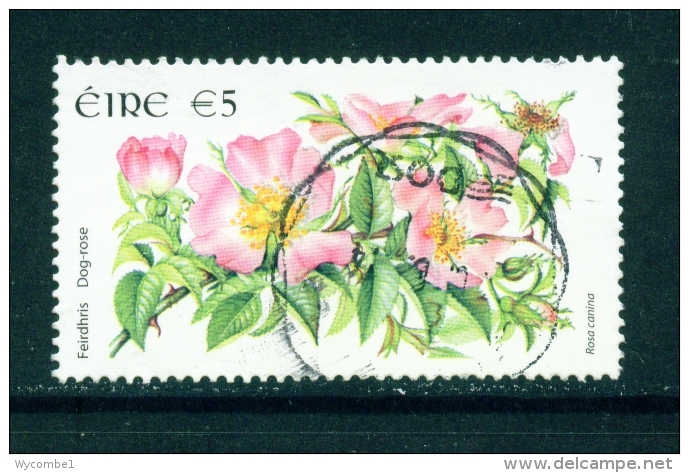 IRELAND  -  2004  Wild Flower Definitives  Dog Rose  5 Euro  Used As Scan - Usati