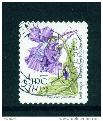 IRELAND  -  2004  Wild Flowers  Butterwort  'N'  Large Format Booklet Stamp  Self Adhesive Gum  Used As Scan - Usati
