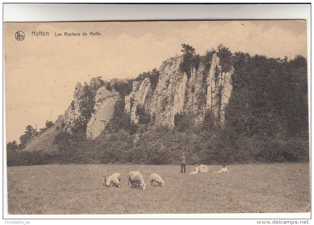 Hotton, Les Rochers De Maffe, Schapen, Sheep, Moutons (pk14806) - Hotton