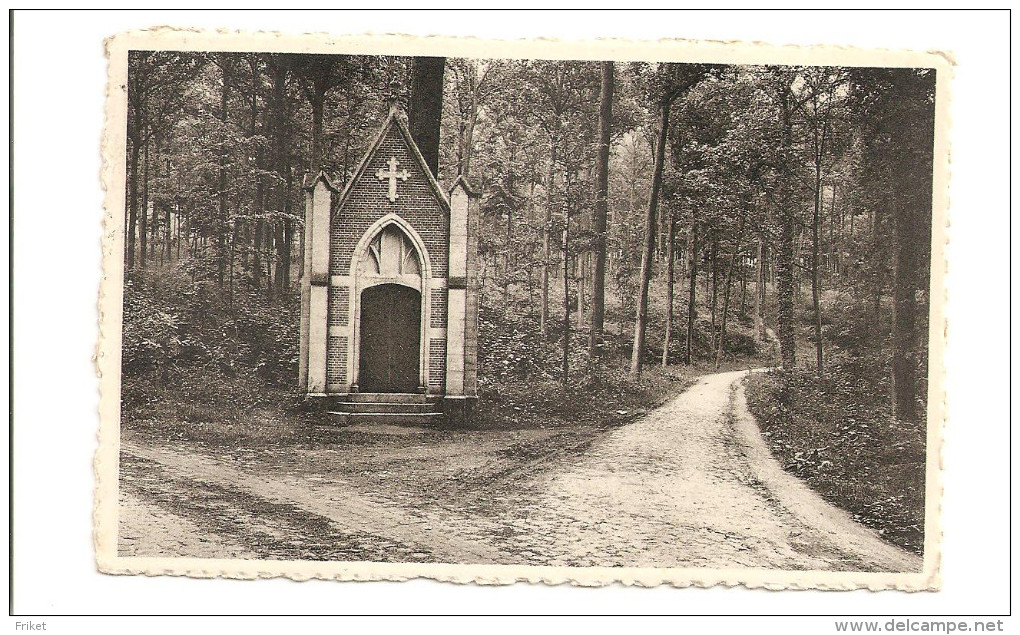 - 1878 -       GREZ DOICEAU  Un Coin Du Bois De Beausart - Graven