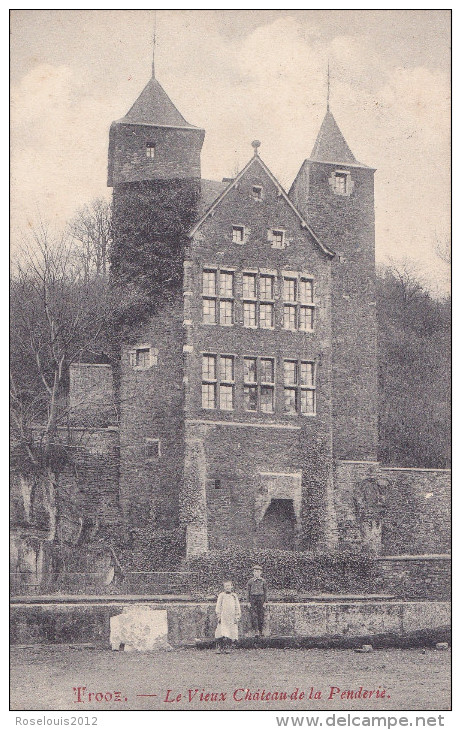 TROOZ : Le Vieux Château De La Penderie - Trooz