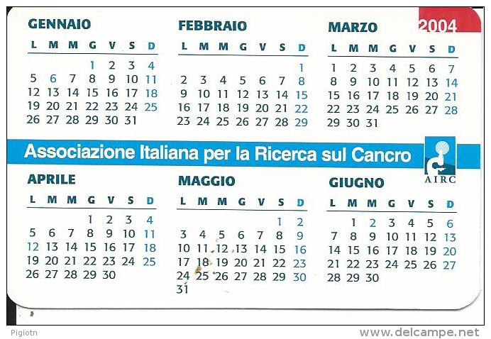 CAL593 - CALENDARIETTO 2004 - AIRC - Formato Piccolo : 1991-00