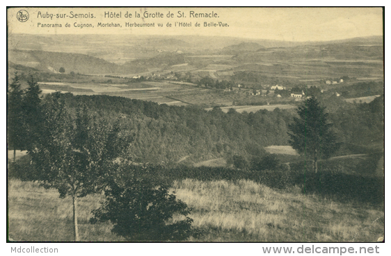 BELGIQUE AUBY SUR SEMOIS / Hôtel De La Grotte De St Remacle / - Autres & Non Classés