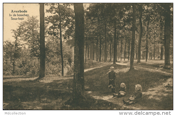 BELGIQUE AVERBODE / Sous Bois / - Andere & Zonder Classificatie