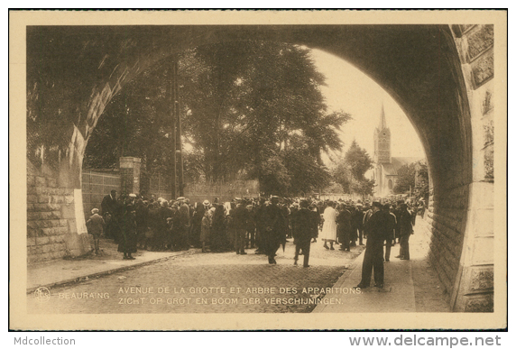 BELGIQUE BEAURAING / Avenue De La Grotte Et Arbre Des Apparitions / - Beauraing