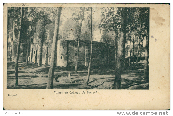 BELGIQUE BEERSEL / Ruines Du Château / - Beersel