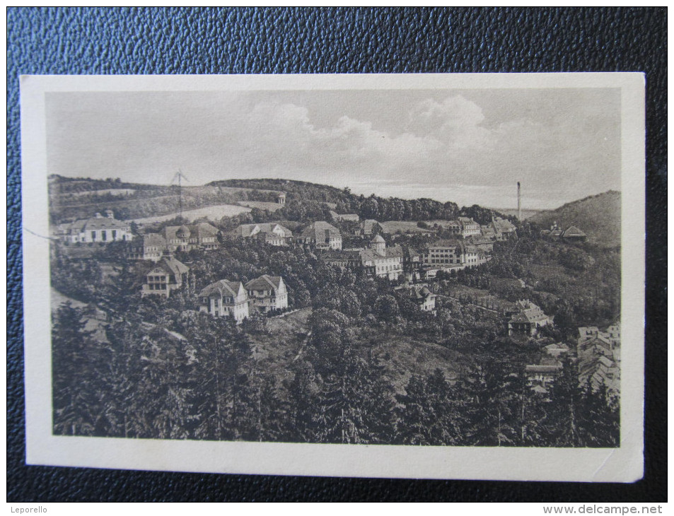 AK GOTTLEUBA 1925 /// D*14061 - Bad Gottleuba-Berggiesshuebel