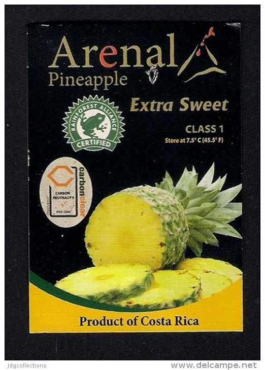 # PINEAPPLE ARENAL Fruit Tag Balise Etiqueta Anhanger Ananas Pina Costa Rica - Fruits & Vegetables