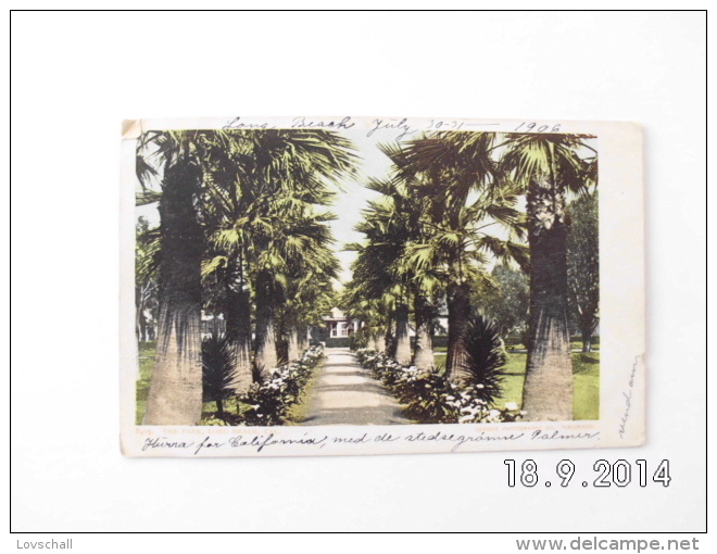Long Beach. - The Park.  (30 - 7 - 1906) - Long Beach