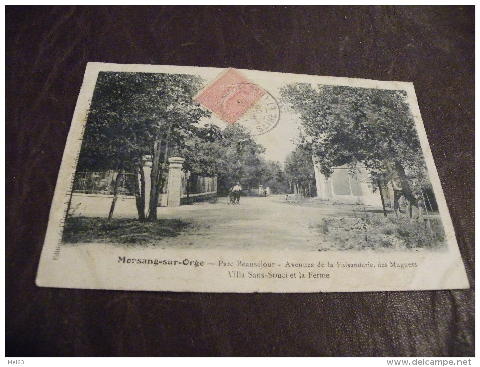 A192..CPA..91..MORSANG-SUR-ORGE..Parc Beauséjour..... Rare Beau Plan Animé... Ecrite & Voyagée 1905 - Morsang Sur Orge