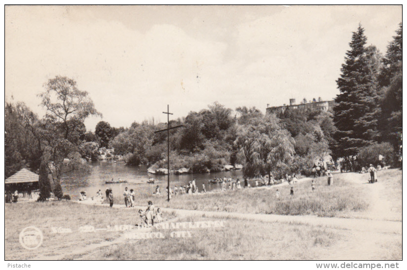 Real Photo - Mexico - Bosque De Chapultepec - Park - Animated - Written - Stamp & Postmark 1950s - 2 Scans - Mexico