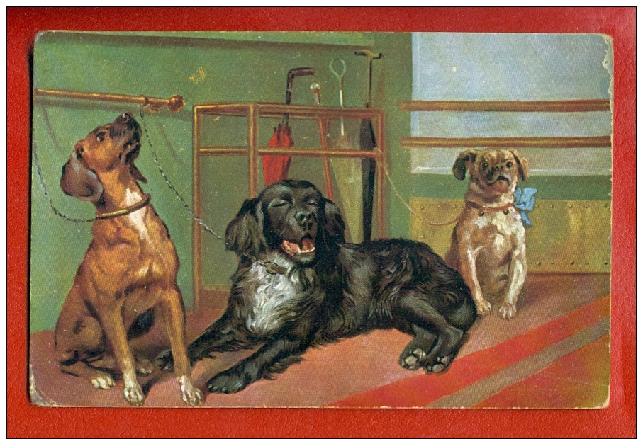 DOGS DACHSHUND AND OTHER VINTAGE PC W951 - Hunde