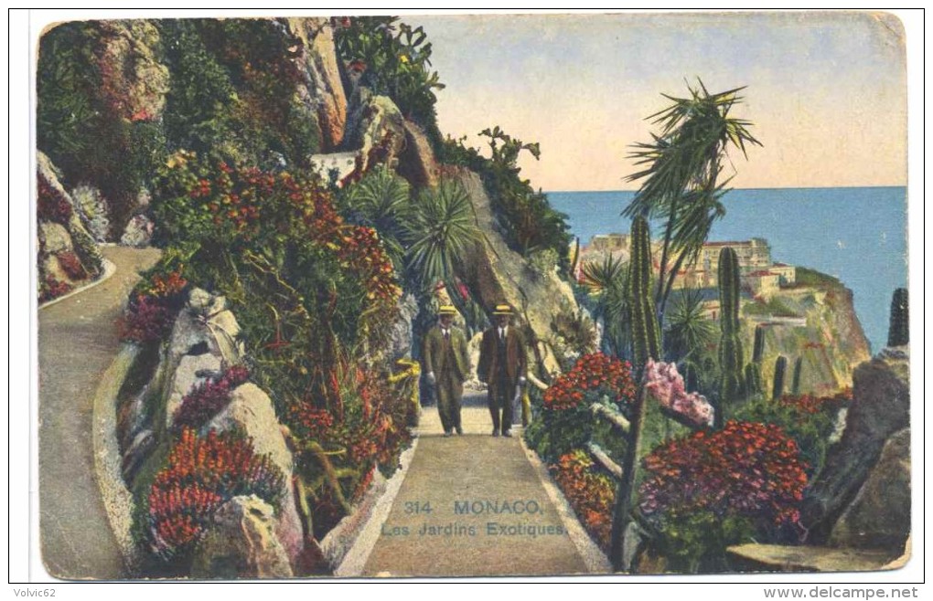 CPA Monaco Jardins Exotiques - Exotische Tuin