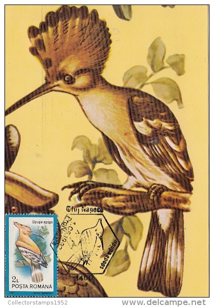 4484- BIRDS, HOOPOE, CARTES MAXIMUM, 1993, ROMANIA - Piciformes (pájaros Carpinteros)