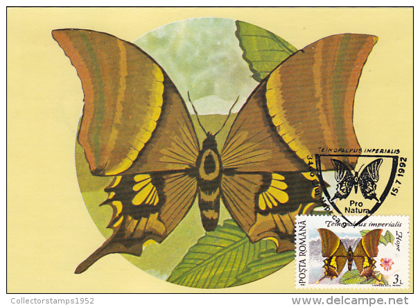 4500- KAISER- I HIND, BUTTERFLY, CARTES MAXIMUM, 1992, ROMANIA - Butterflies