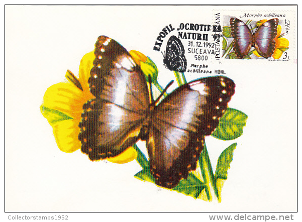 4508- HELENA MORPHO BUTTERFLY, CARTES MAXIMUM, 1992, ROMANIA - Butterflies