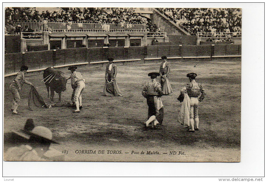 CORRIDA De Toros- Paso De Muleta - Corridas