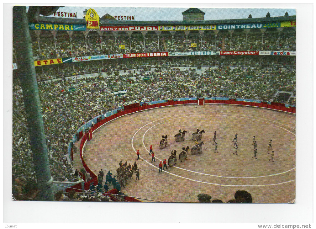 CORRIDA :Fiesta Brava (non écrite) - Corrida