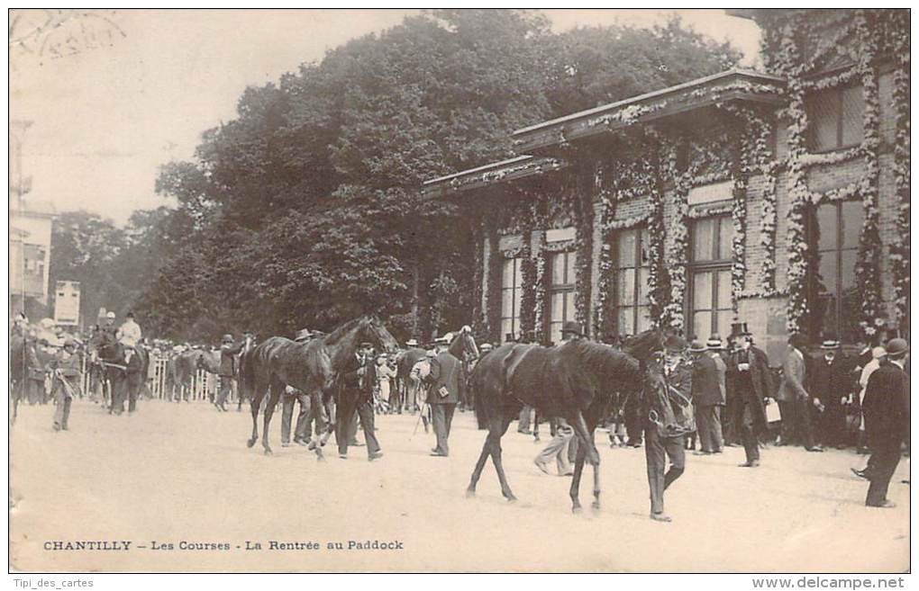 60 - Chantilly - Les Courses, La Rentrée Au Paddock - Chantilly