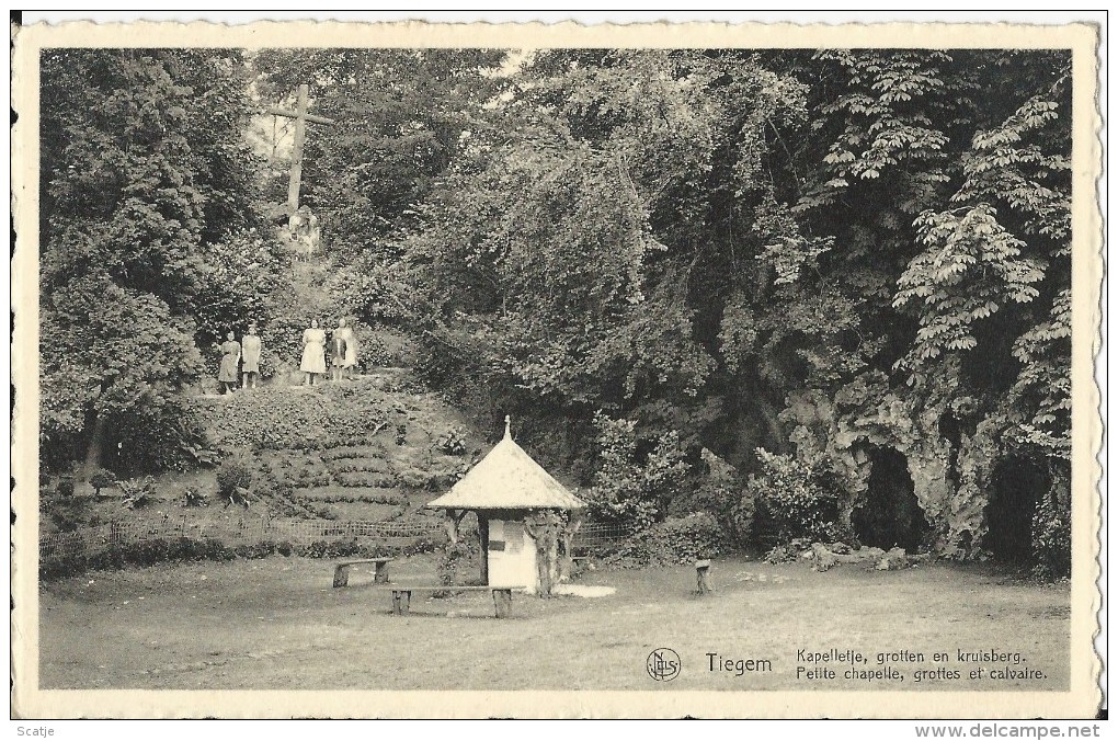 Tiegem.  -  Kapelletje Grotten En Kruisberg;  1949 - Anzegem