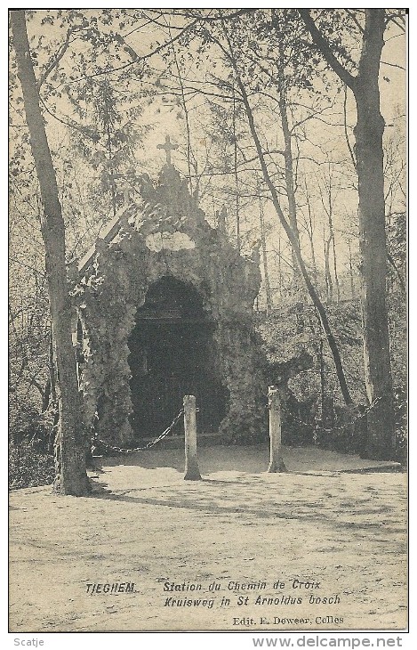 Tiegem.  -  Kruisweg In St Arnoldus Bosch;  1913 - Anzegem