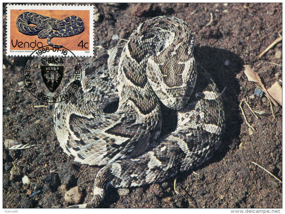 VENDA 1986 MAX,CARD With SNAKE. - Snakes