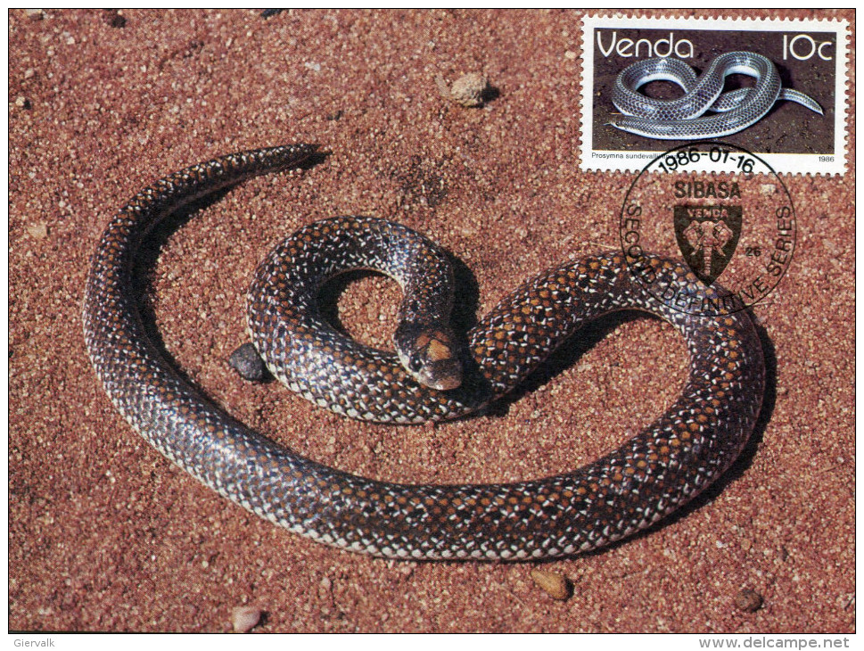 VENDA 1986 MAX.CARD With SNAKE. - Slangen