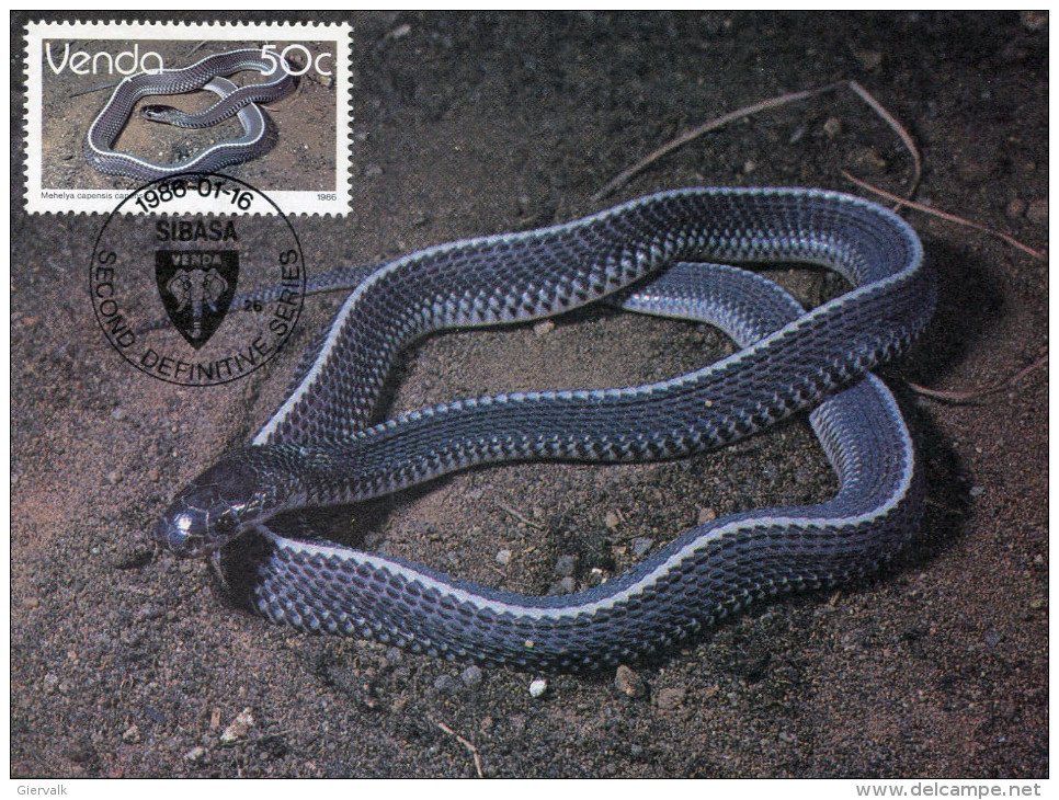 VENDA 1986 MAX.CARD With SNAKE. - Slangen