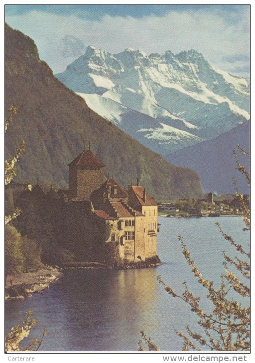 SUISSE,SWITZERLAND,SVIZZE RA,SCHWEIZ,HELVETIA,SWISS ,VAUD,MONTREUX,TERRITET, Riviera Paysd´enhaut,chateau Chillon - Montreux