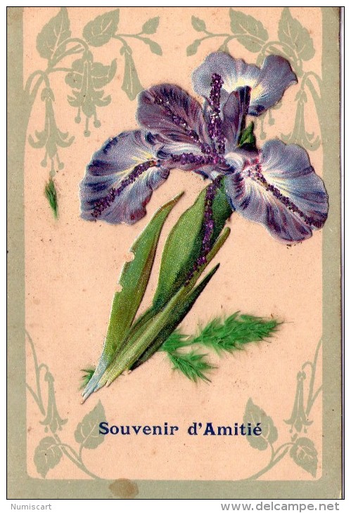 Belle Carte Brodée.. Souvenir D'Amitié.. Pensée - Brodées