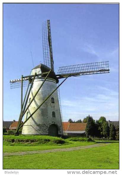 GIERLE Bij Lille (Antw..) - Molen/moulin - Historische Opname Van Molen ´In Stormen Sterk´ In 2005 Voor De Restauratie - Lille