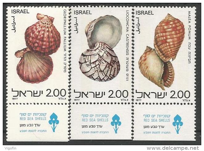 IS 1977-726-8  SHELL, ISRAEL,1 X 3v, MNH - Ongebruikt (met Tabs)