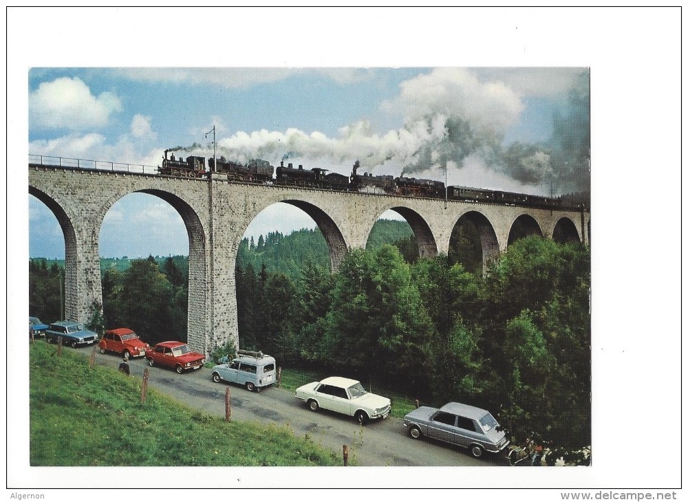 10348 - Internatioales Dampfickifest Degersheim Fotozug Auf Den Weissenbach Viadukt (format 10X15) - Autres & Non Classés