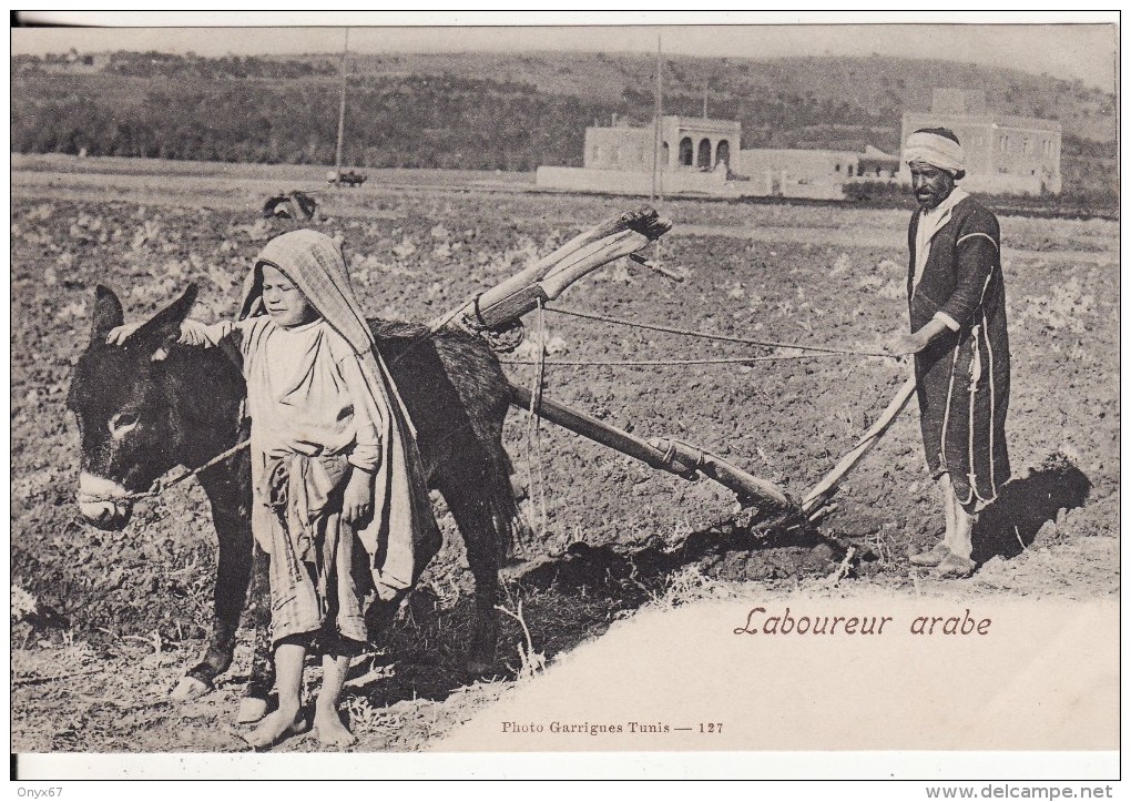 Laboureur Arabe Avec ANE (Animaux) Paysan - Métier Labourage - Tunis (Tunisie) Photo Garrigues N° 127 - Tunesien