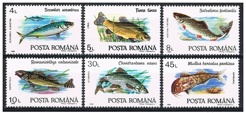 L181 FAUNA VISSEN FISH POISSONS FISCHE MAKREEL BAARS ROMANIA 1992 PF/MNH - Pesci