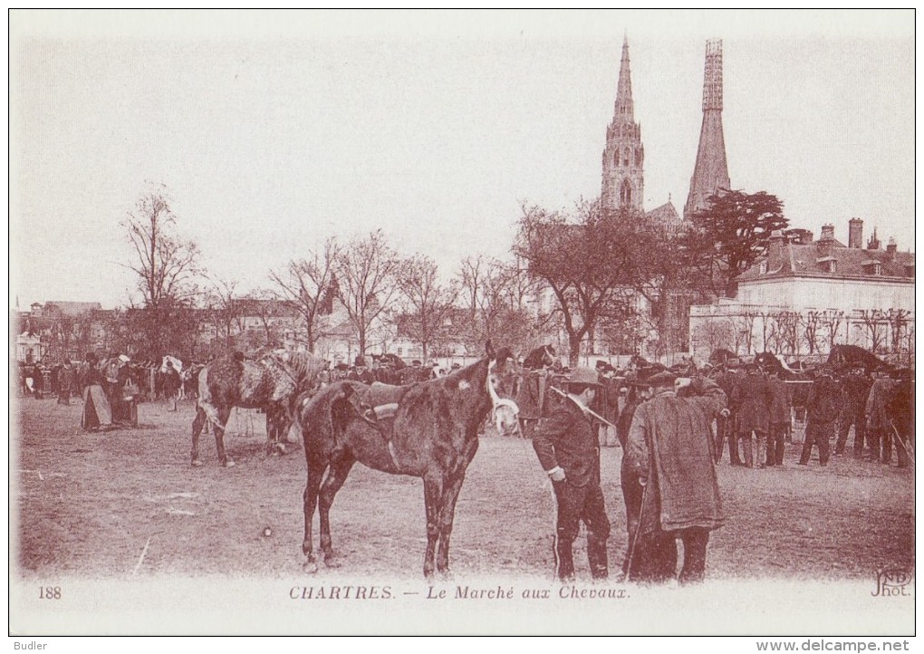 FRANCE : CHARTRES : ## Marché Aux Chevaux ## Reproduction D'une Ancienne Carte Photo - Nieuwe Postkaart / Carte Postale. - Chartres