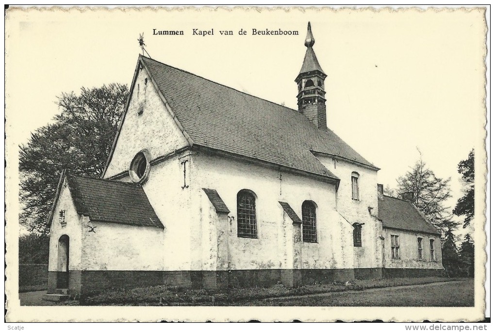 Lummen.  -   Kapel Van De Beukenboom  (uit Plakboek) - Lummen