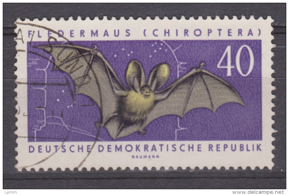 DDR Duitsland, Deutschland, Germany, Allemagne Gestempeld, Used ; Vleermuis, Chauve-souris, Murcielago, Fledermause, Bat - Chauve-souris