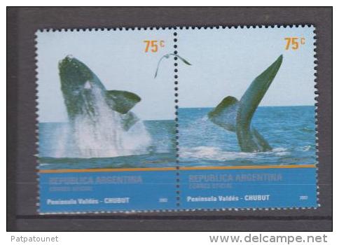 Argentine YV 2324/5 N 2002 Baleine - Baleines