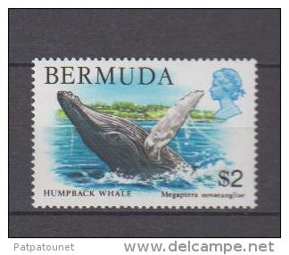 Bermudes YV 367 N 1978 Baleine - Baleines