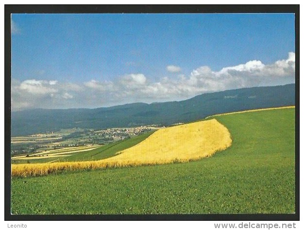 OUJON Chartreuse Les Blés Des Hauts De Bégaubert Auzier-le-Muids Nyon - Arzier-Le Muids