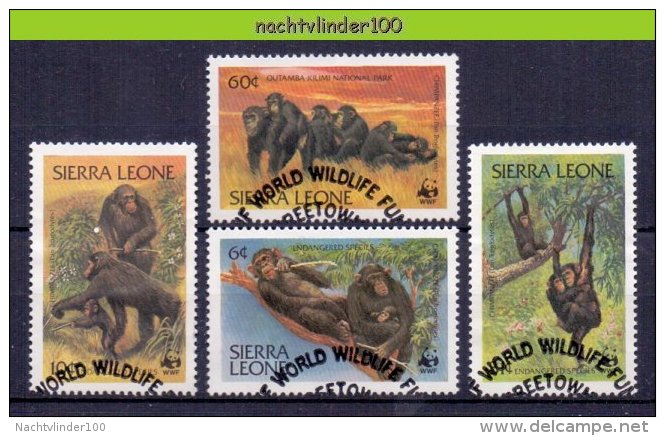 Mkt001sg WWF FAUNA AAP APEN ZOOGDIER CHIMPANSEE MONKEYS MAMMALS APES AFFEN SINGES SIERRA LEONE 1983 Gebr/used - Used Stamps