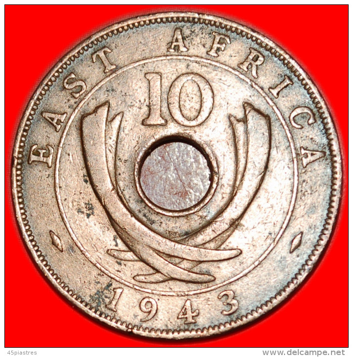 *CURVED TUSKS* EAST AFRICA 10 CENTS 1943 NO RESERVE! - British Colony