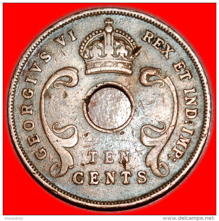 *CURVED TUSKS* EAST AFRICA 10 CENTS 1943 NO RESERVE! - British Colony