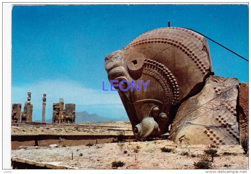 CPM D' IRAN -  PERSEPOLIS - SHIRAZ - - Iran